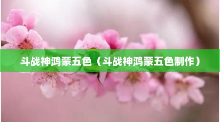 斗战神鸿蒙五色（斗战神鸿蒙五色制作）