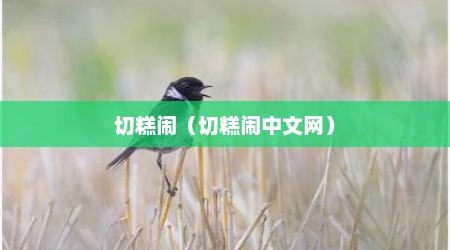 切糕闹（切糕闹中文网）