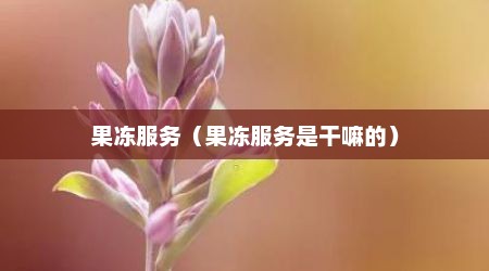 果冻服务（果冻服务是干嘛的）