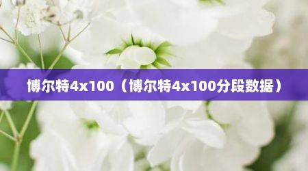 博尔特4x100（博尔特4x100分段数据）