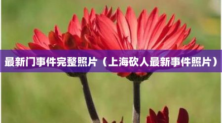 最新门事件完整照片（上海砍人最新事件照片）