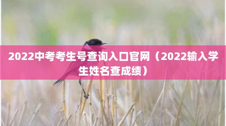 2022中考考生号查询入口官网（2022输入学生姓名查成绩）