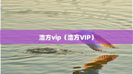 浩方vip（浩方VIP）