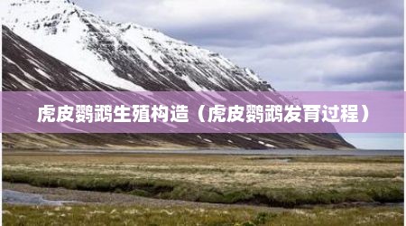 虎皮鹦鹉生殖构造（虎皮鹦鹉发育过程）