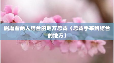 碾磨着两人结合的地方总裁（总裁手来到结合的地方）