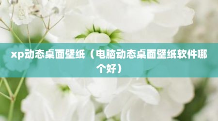 xp动态桌面壁纸（电脑动态桌面壁纸软件哪个好）