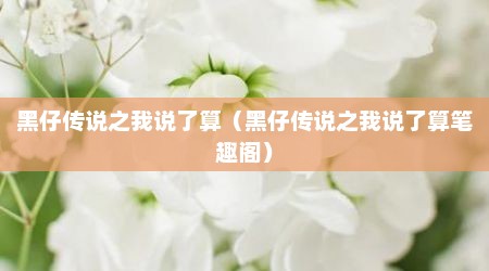 黑仔传说之我说了算（黑仔传说之我说了算笔趣阁）