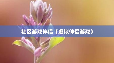 社区游戏伴侣（虚拟伴侣游戏）
