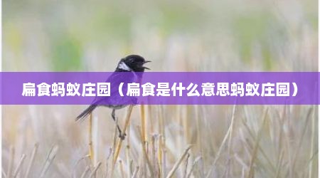 扁食蚂蚁庄园（扁食是什么意思蚂蚁庄园）