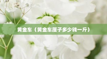 黄金车（黄金车厘子多少钱一斤）