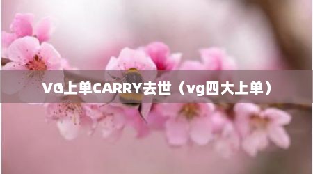 VG上单CARRY去世（vg四大上单）