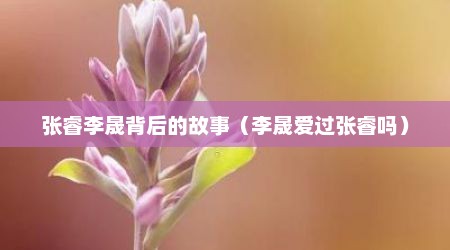 张睿李晟背后的故事（李晟爱过张睿吗）