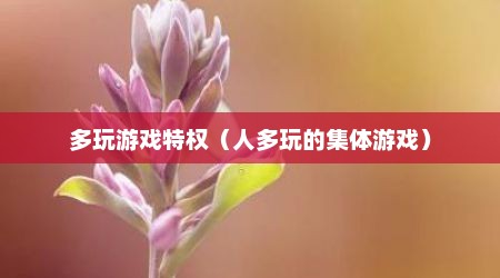 多玩游戏特权（人多玩的集体游戏）