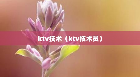 ktv技术（ktv技术员）