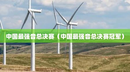 中国最强音总决赛（中国最强音总决赛冠军）