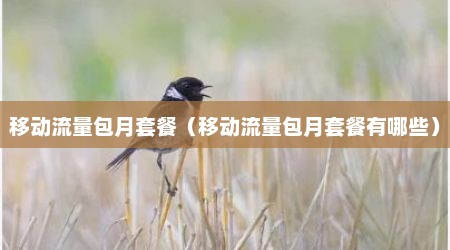 移动流量包月套餐（移动流量包月套餐有哪些）