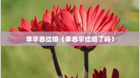 李宇春结婚（李春宇结婚了吗）