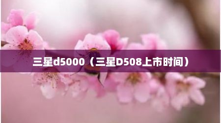 三星d5000（三星D508上市时间）