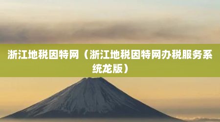 浙江地税因特网（浙江地税因特网办税服务系统龙版）
