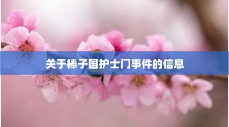 关于棒子国护士门事件的信息