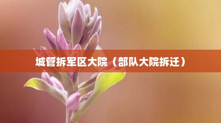 城管拆军区大院（部队大院拆迁）