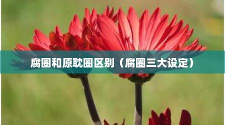 腐圈和原耽圈区别（腐圈三大设定）