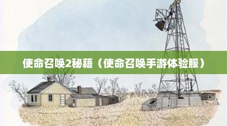 使命召唤2秘籍（使命召唤手游体验服）