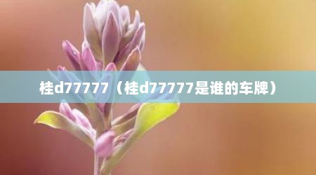 桂d77777（桂d77777是谁的车牌）