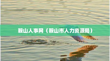 鞍山人事网（鞍山市人力资源局）