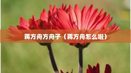 蒋方舟方舟子（蒋方舟怎么啦）