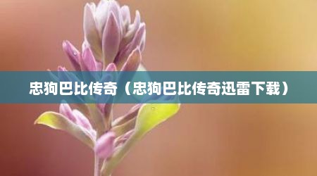 忠狗巴比传奇（忠狗巴比传奇迅雷下载）