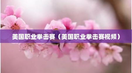 美国职业拳击赛（美国职业拳击赛视频）