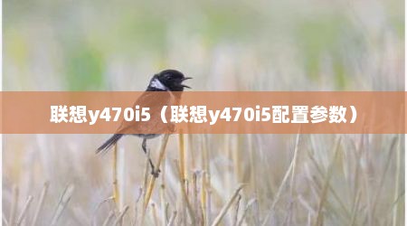 联想y470i5（联想y470i5配置参数）