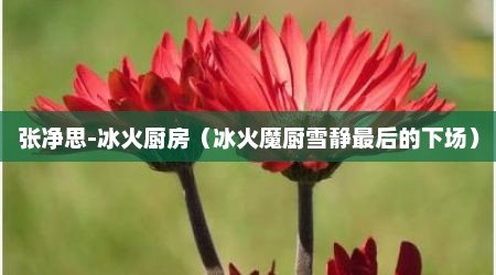 张净思-冰火厨房（冰火魔厨雪静最后的下场）