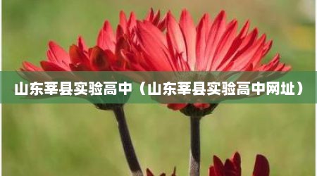 山东莘县实验高中（山东莘县实验高中网址）