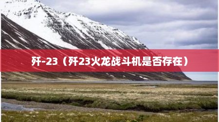 歼-23（歼23火龙战斗机是否存在）