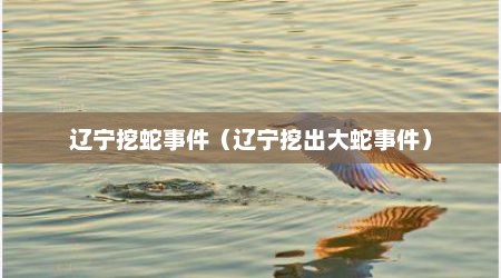 辽宁挖蛇事件（辽宁挖出大蛇事件）