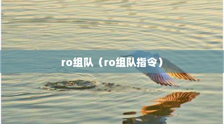 ro组队（ro组队指令）