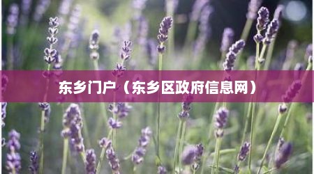 东乡门户（东乡区政府信息网）