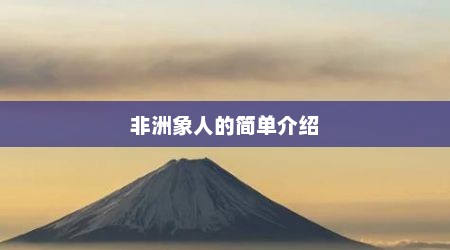 非洲象人的简单介绍