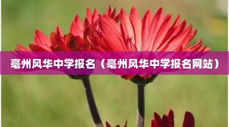 亳州风华中学报名（亳州风华中学报名网站）