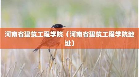 河南省建筑工程学院（河南省建筑工程学院地址）