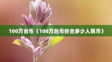 100万台币（100万台币折合多少人民币）