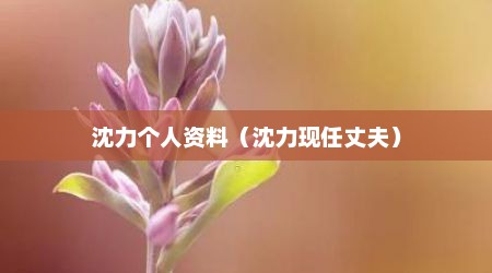 沈力个人资料（沈力现任丈夫）