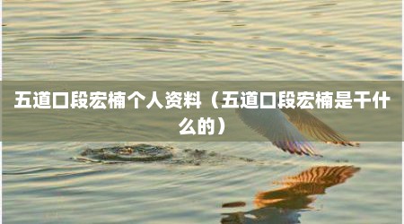 五道口段宏楠个人资料（五道口段宏楠是干什么的）