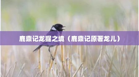 鹿鼎记龙掘之境（鹿鼎记原著龙儿）
