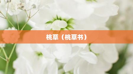 桃草（桃草书）