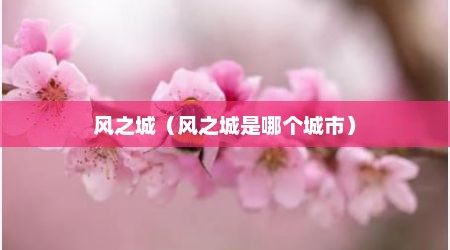 风之城（风之城是哪个城市）