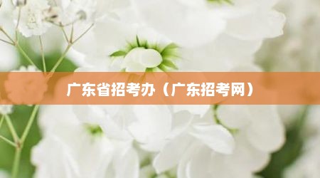 广东省招考办（广东招考网）
