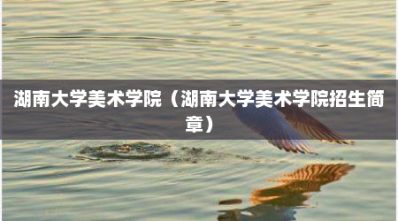 湖南大学美术学院（湖南大学美术学院招生简章）